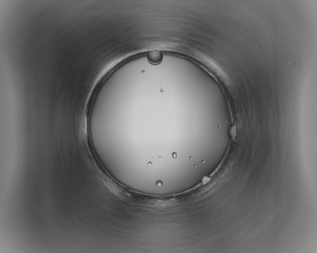 X0000112411324200909041348