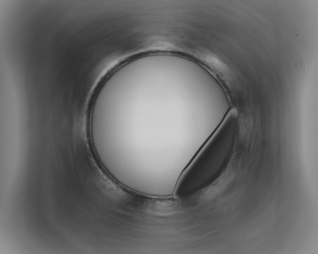 X0000112411326200909041348