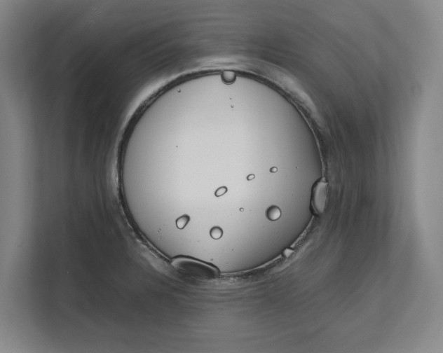 X0000112411328200909041348