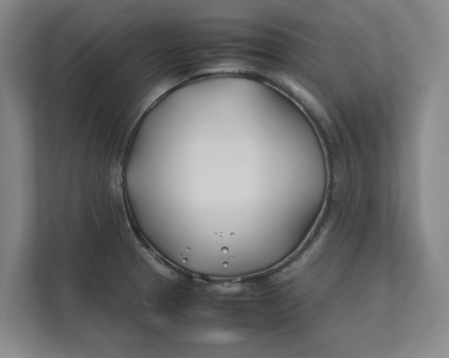 X0000112411329200909041348