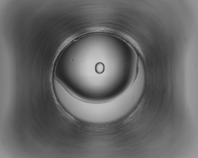 X0000112411330200909041348