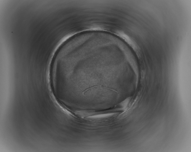 X0000112411331200909041348