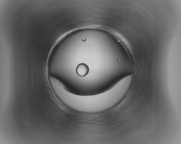 X0000112411332200909041348