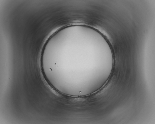 X0000112411333200909041348