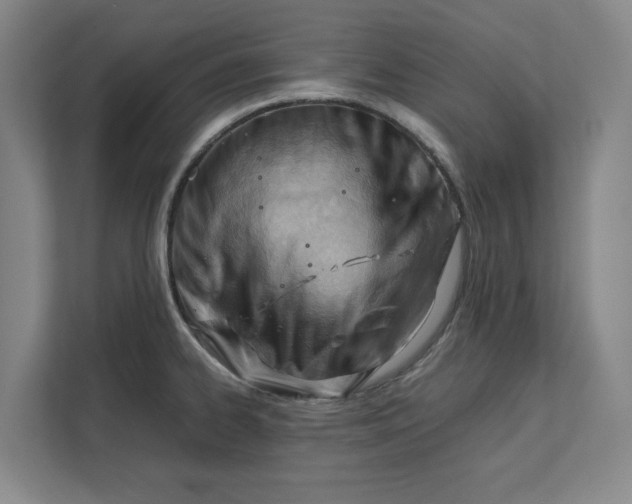 X0000112411334200909041348