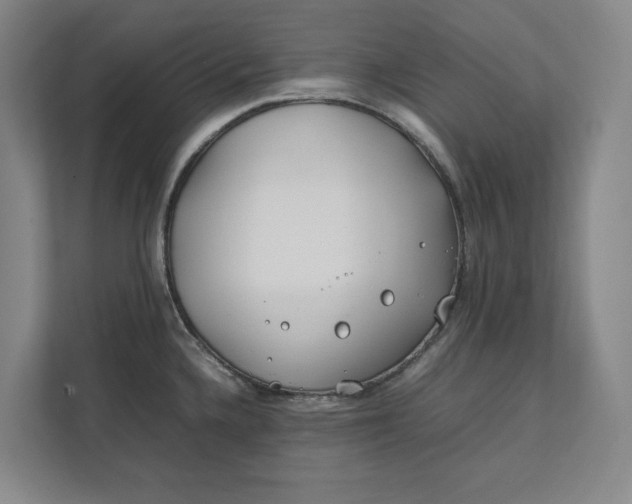 X0000112411336200909041348