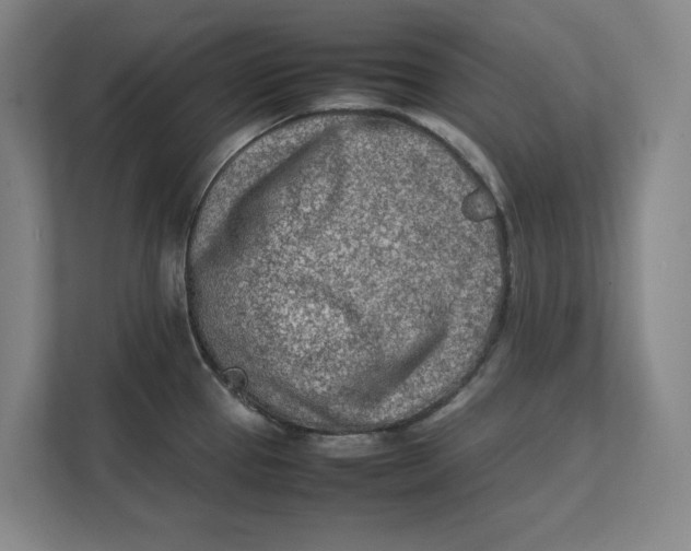 X0000112411337200909041348