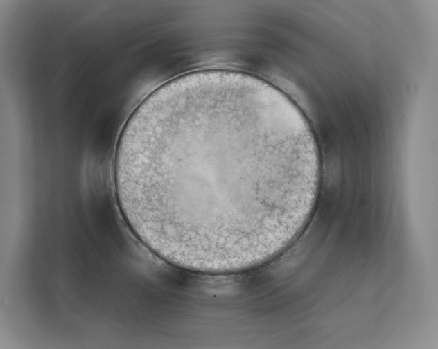 X0000112411338200909041348