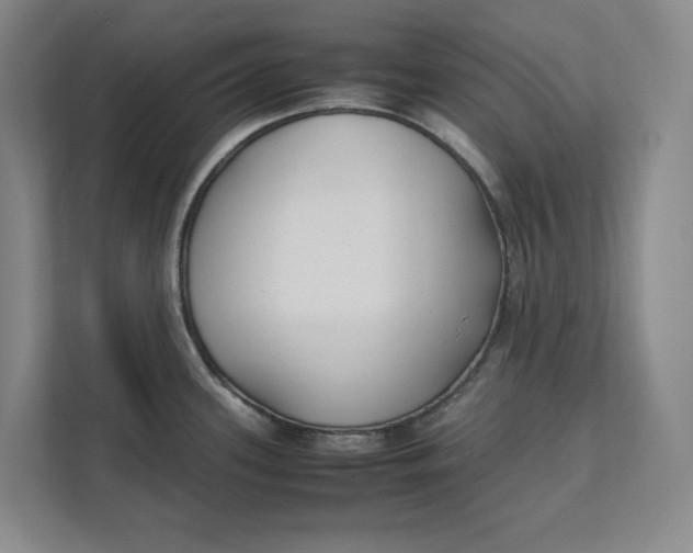 X0000112411339200909041348