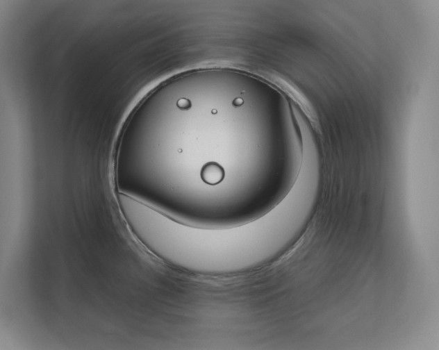 X0000112411340200909041349