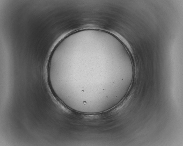 X0000112411341200909041349