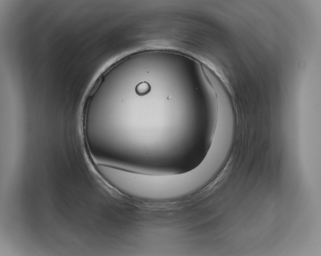 X0000112411342200909041349