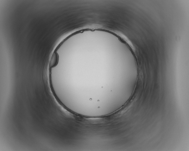 X0000112411343200909041349