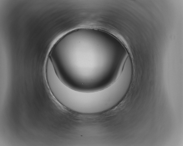 X0000112411344200909041349