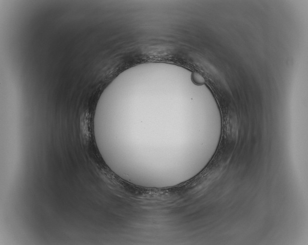 X0000112411346200909041348