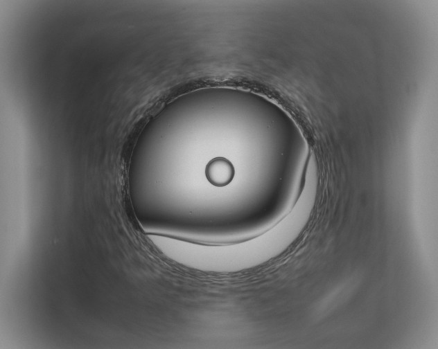 X0000112411349200909041348