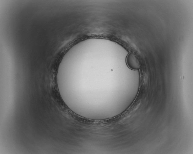 X0000112411350200909041348