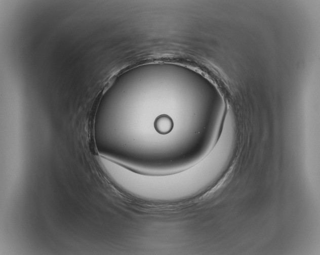 X0000112411353200909041348