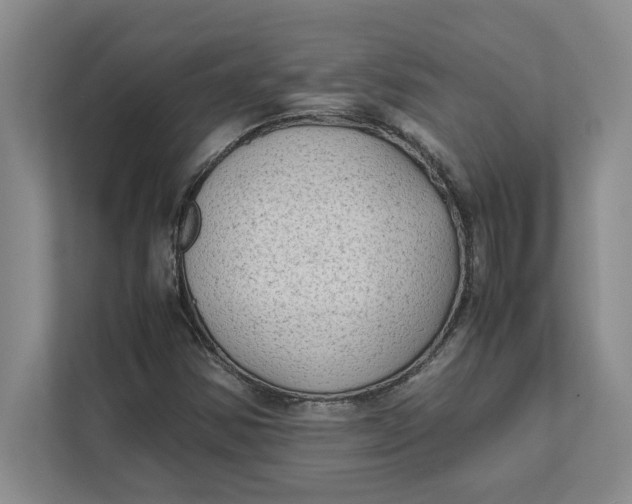 X0000112411354200909041348