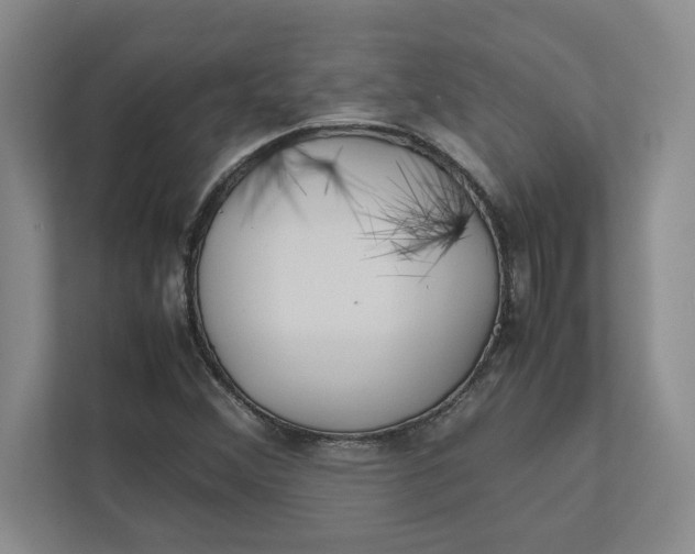 X0000112411356200909041348