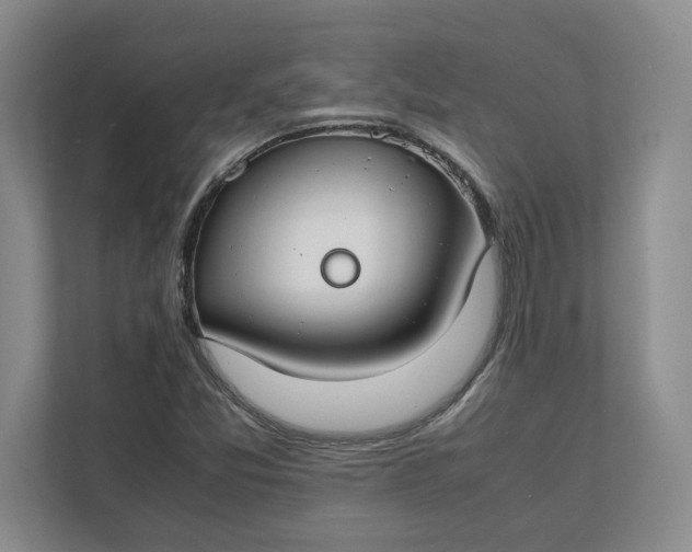 X0000112411357200909041348