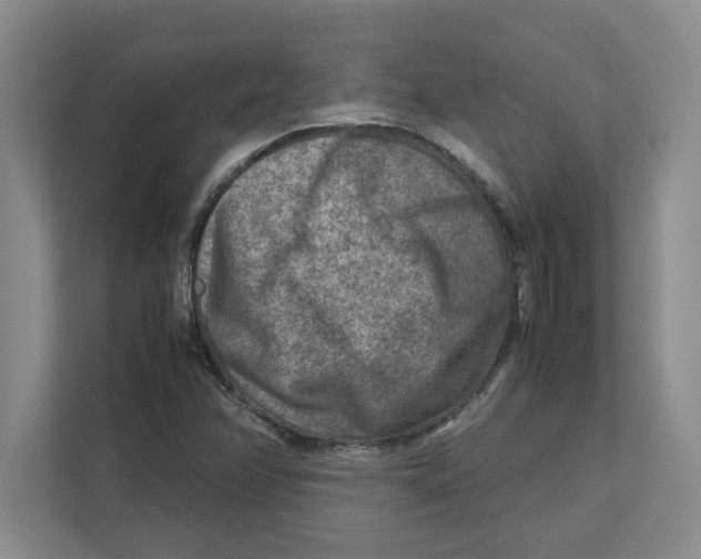 X0000112411358200909041348