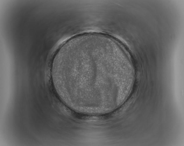 X0000112411359200909041348