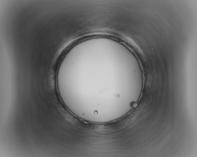 X0000112411360200909041348