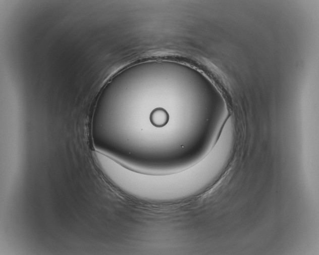 X0000112411361200909041348