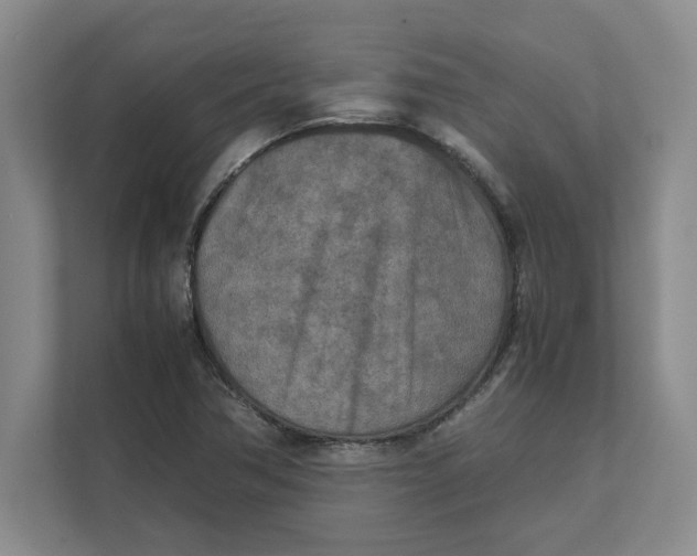 X0000112411362200909041348