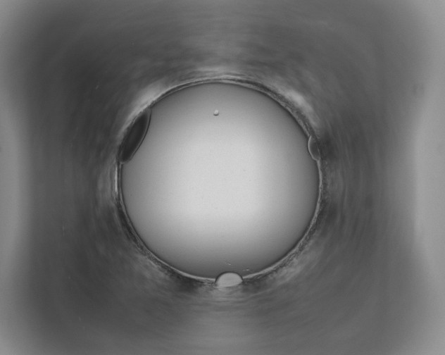 X0000112411365200909041348