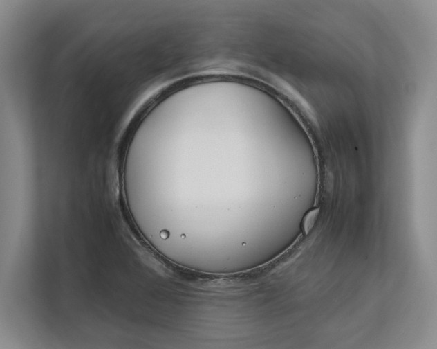 X0000112411368200909041347