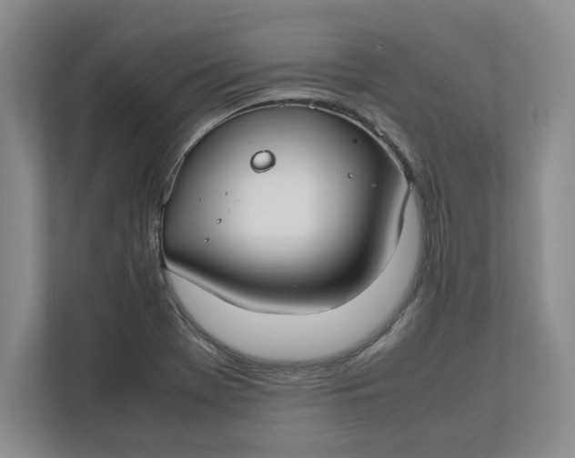 X0000112411369200909041347