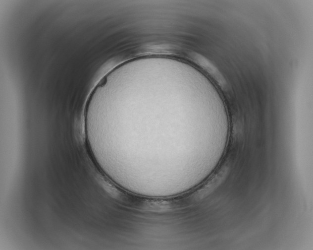 X0000112411370200909041347