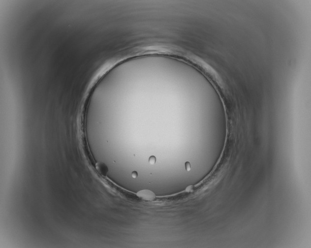 X0000112411373200909041347