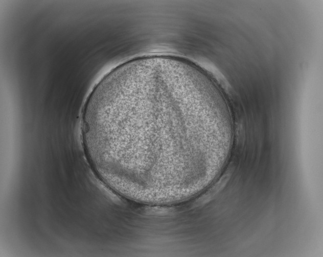 X0000112411374200909041347