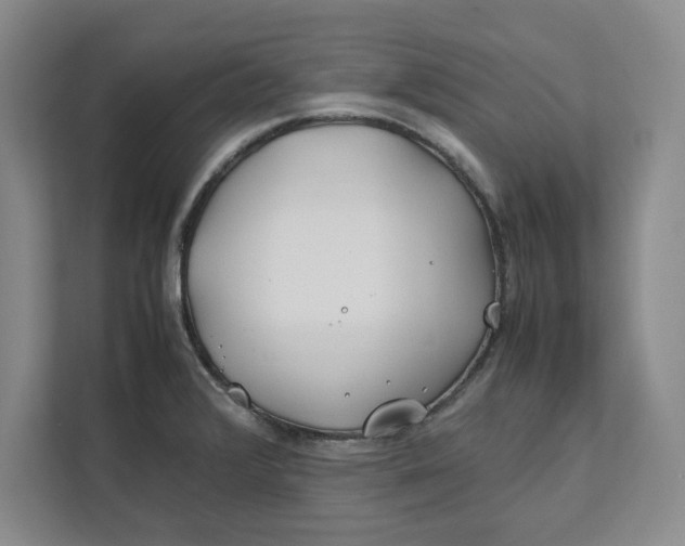 X0000112411376200909041347