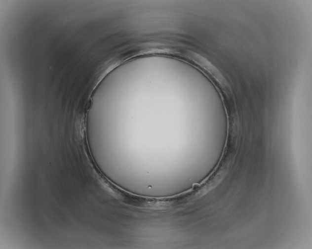 X0000112411377200909041347