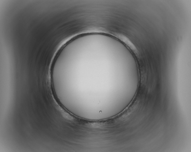 X0000112411380200909041347