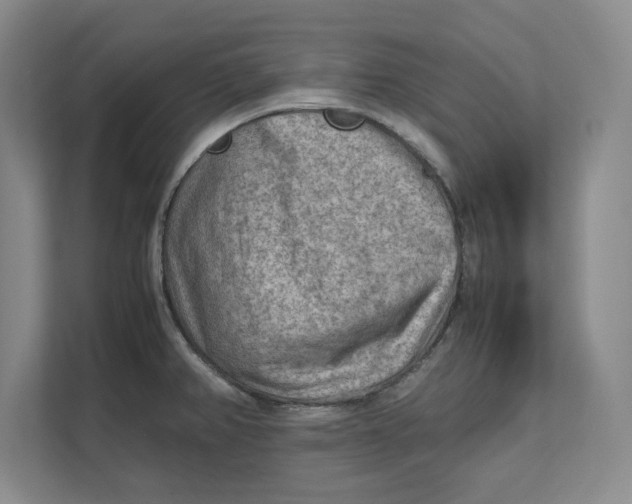 X0000112411382200909041347