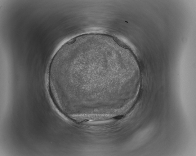 X0000112411383200909041347