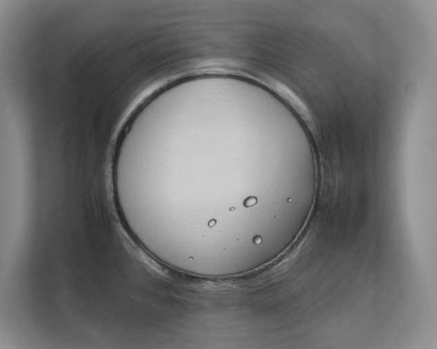 X0000112411384200909041347