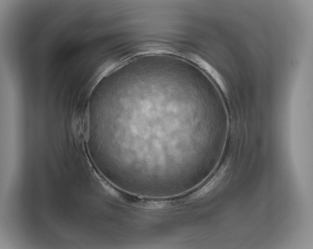 X0000112411385200909041347