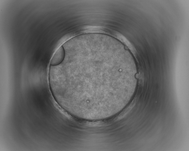 X0000112411386200909041347