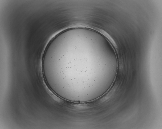 X0000112411388200909041347