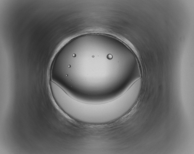 X0000112411389200909041347