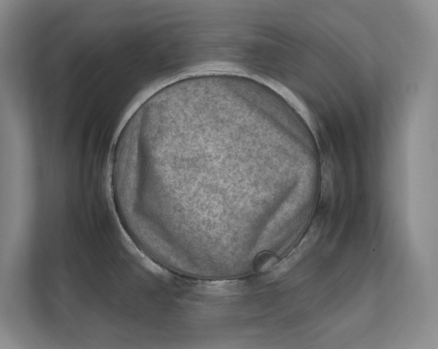 X0000112411390200909041347