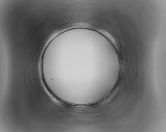 X0000112411391200909041347