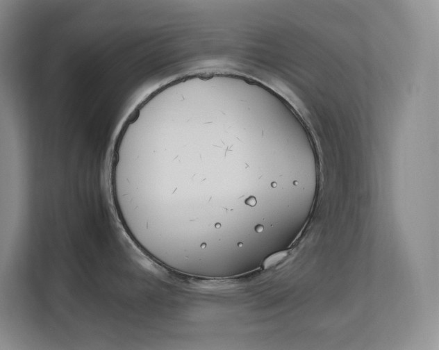 X0000112411392200909041347