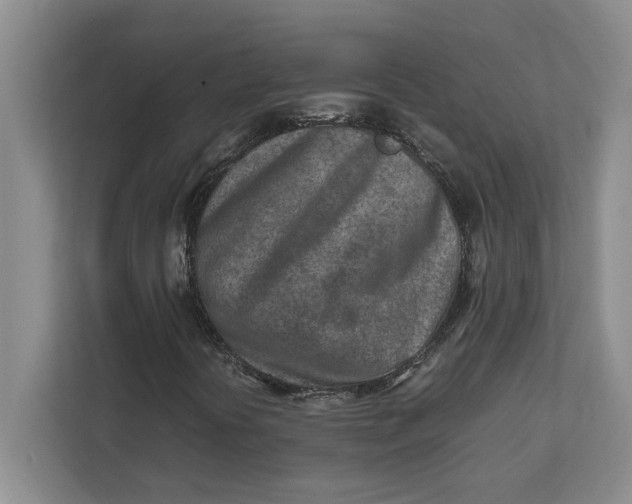 X0000112411394200909041347